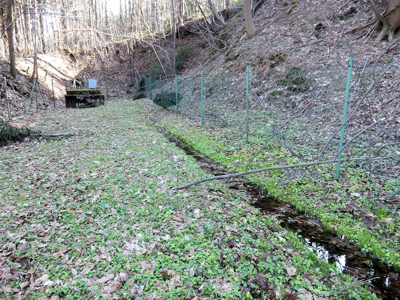 jiný vodní zdroj Pod Jeřábem (12583) - duben 2019