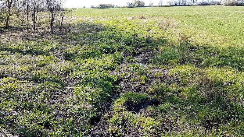 prameniště bez jména (12589) - duben 2019
