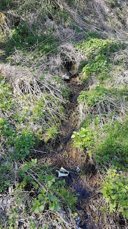 prameniště Rejchlovice (12592) - duben 2019