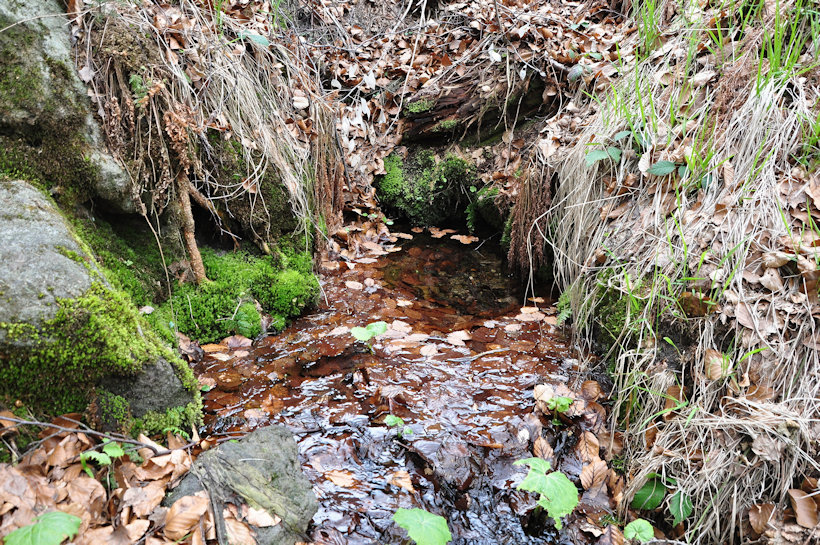 studánka Pod vodárnou (12606) - duben 2019