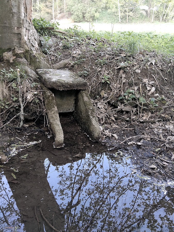 studánka Pod Florianem (12607) - duben 2019
