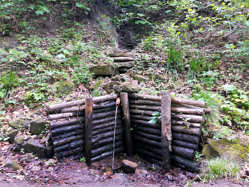 pramen Pod Sokolem (12620) - květen 2019