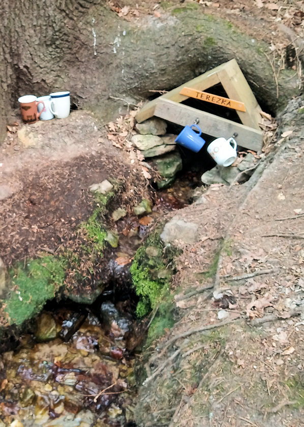 studánka Terezka (12626) - květen 2021