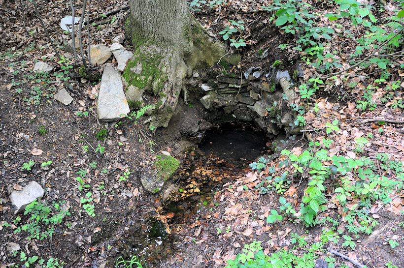 Bernardovská studánka (12635) - květen 2019