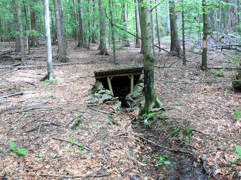 studánka V Polomi (12644) - květen 2019