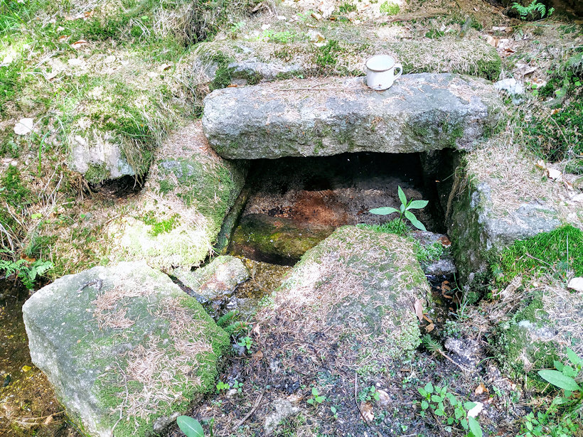 studánka Dobrá voda (12650) - květen 2019
