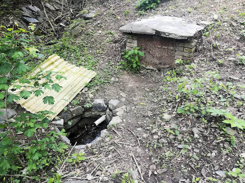studánka Klecanský háj (12653) - květen 2019