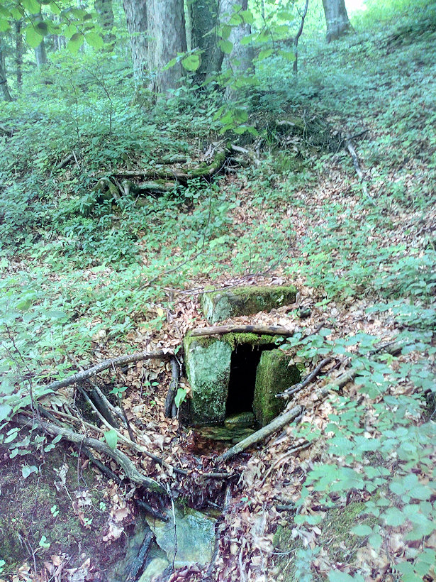 studánka Nad myslivnou (12665) - květen 2019