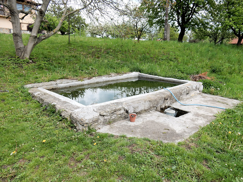 pramen Na Lánech (12678) - květen 2019