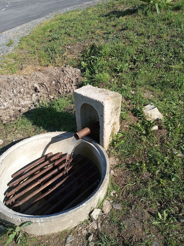 studánka Pramen Juřas (12686) - červen 2019