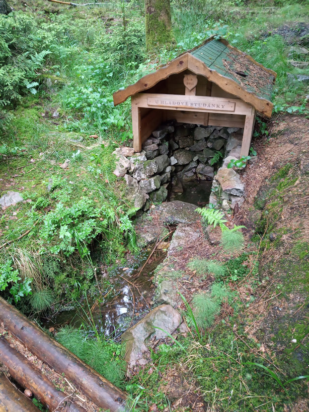 studánka U Hladové studánky (12698) - červen 2019
