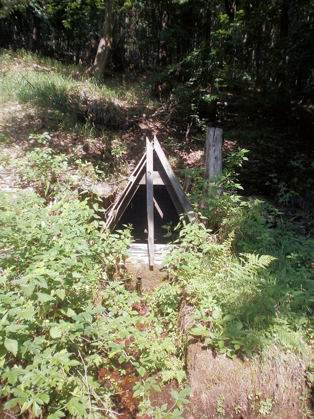 studánka bez jména (12702) - červen 2019