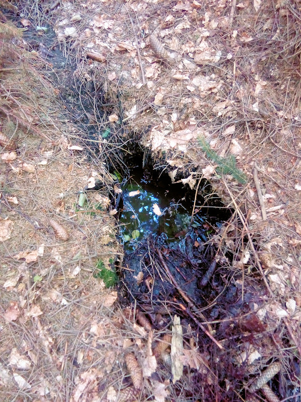 prameniště Motyczonka (12739) - červenec 2019