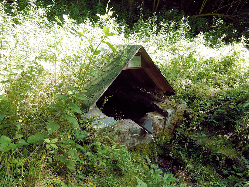 studánka Nad Bláhovým (12753) - červenec 2019