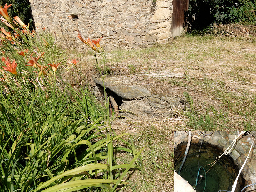 Studenecká studánka (12754) - červenec 2019