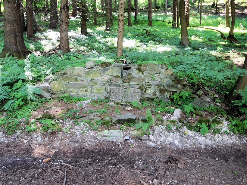Mlýnský pramen (12766) - červenec 2019