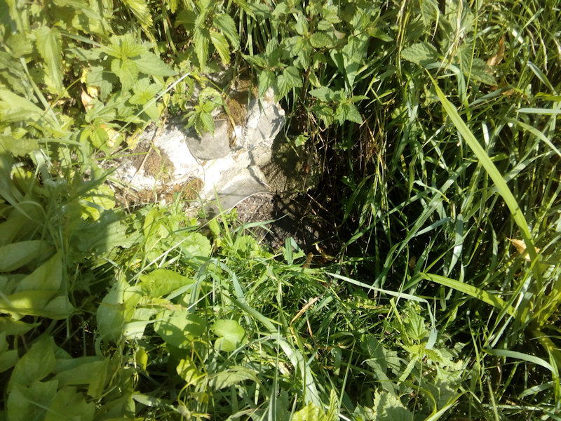 prameniště Harcov (12770) - červenec 2019