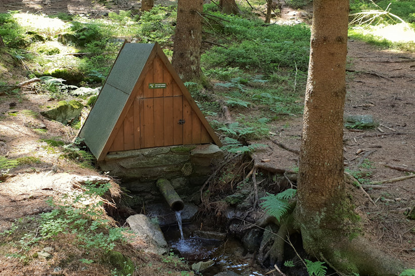 studánka Na Poustce (12772) - červenec 2019