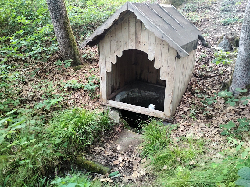 studánka U Křeliny (12783) - červenec 2019