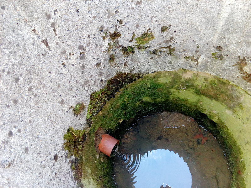 pramen Pod Groníčkem (12790) - červenec 2019