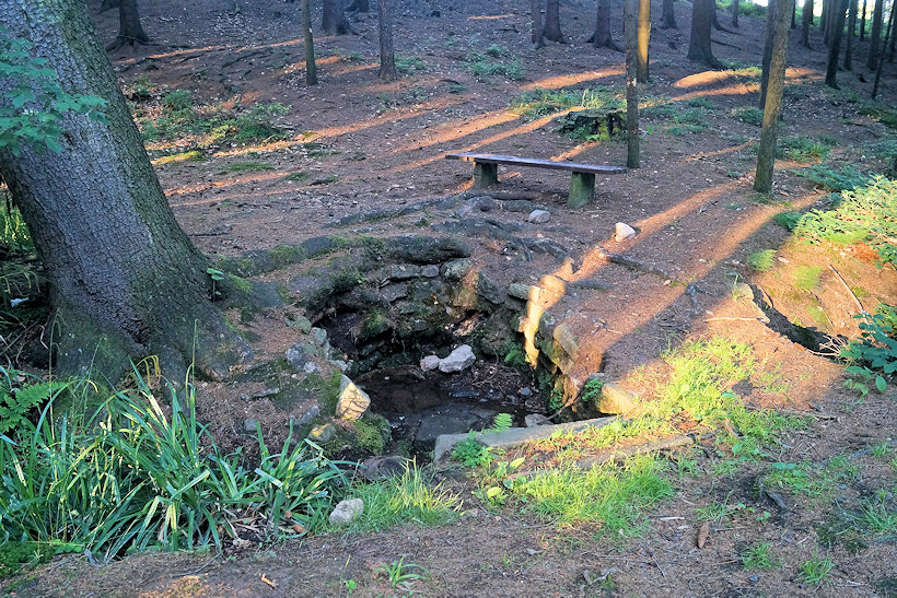 prameniště Roudenka (12807) - červen 2019