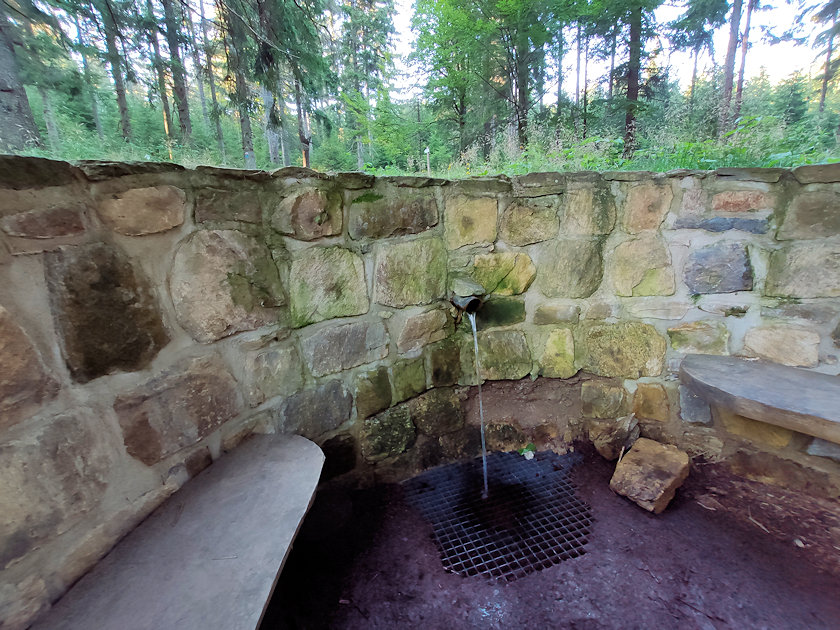 studánka bez jména (12811) - srpen 2021