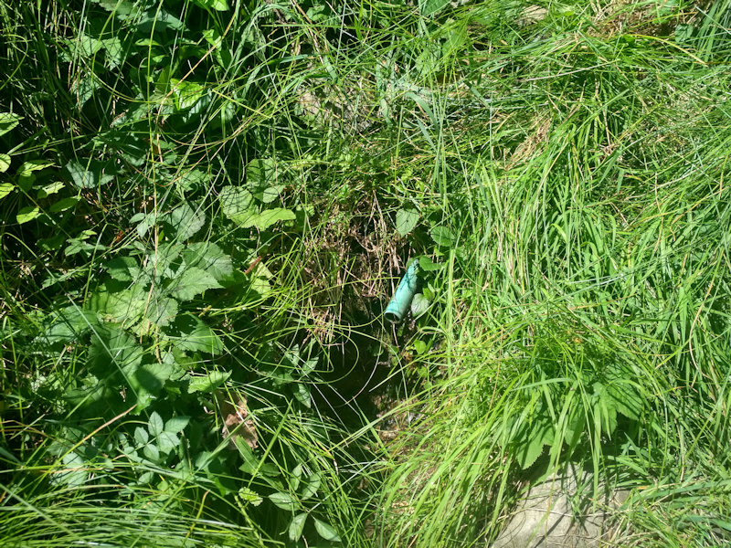 studánka U Bumbalky (12827) - srpen 2019