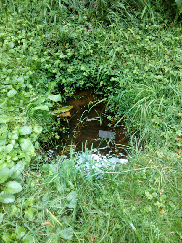 studánka U včelína (12829) - srpen 2019