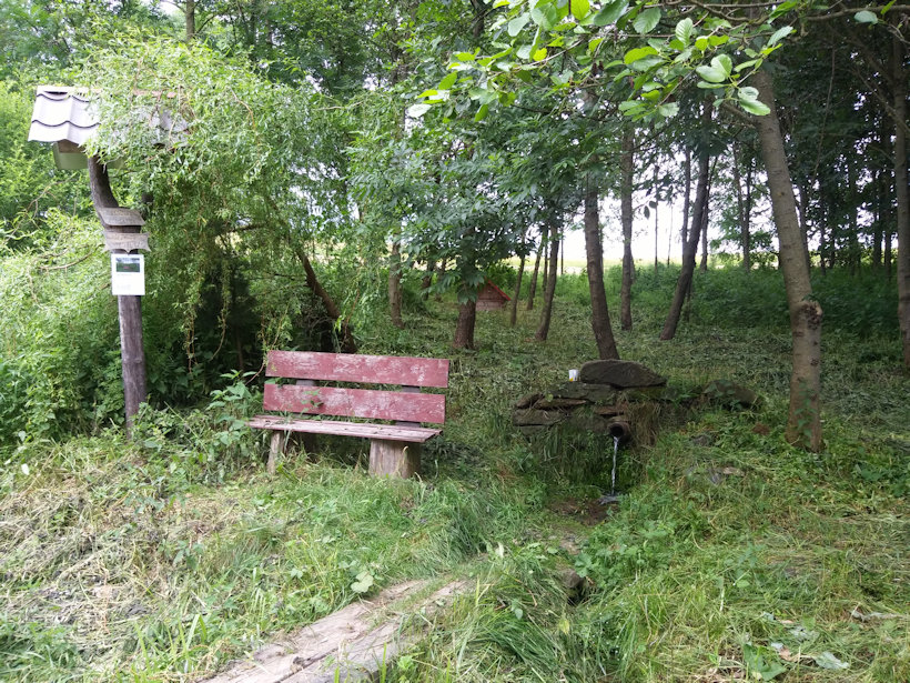 Křenovská studánka (12832) - červen 2019