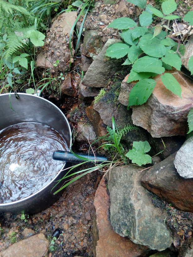 studánka Pod skalou  (12852) - srpen 2019