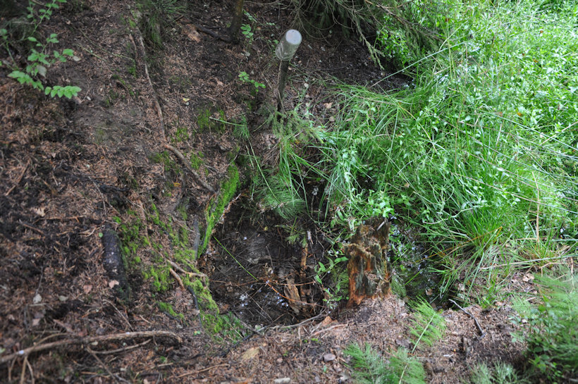 studánka V koloví (12860) - srpen 2019