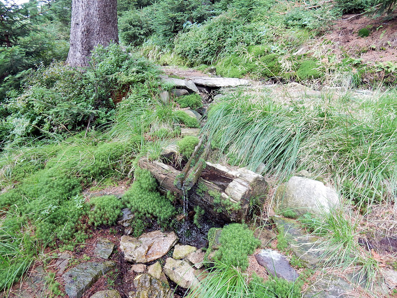 studánka U Šindelky 2 (12873) - srpen 2019