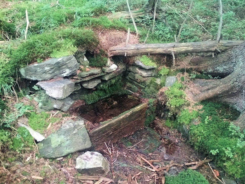 studánka bez jména (12924) - srpen 2019