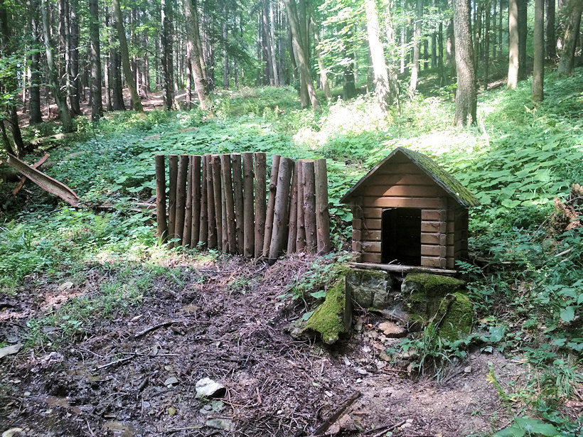 studánka bez jména (12925) - srpen 2019