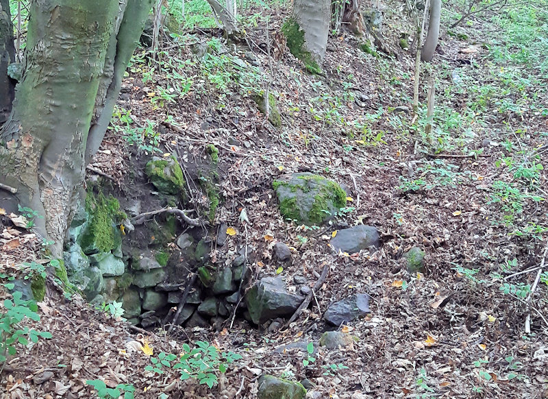 studánka Jiří (12944) - září 2019