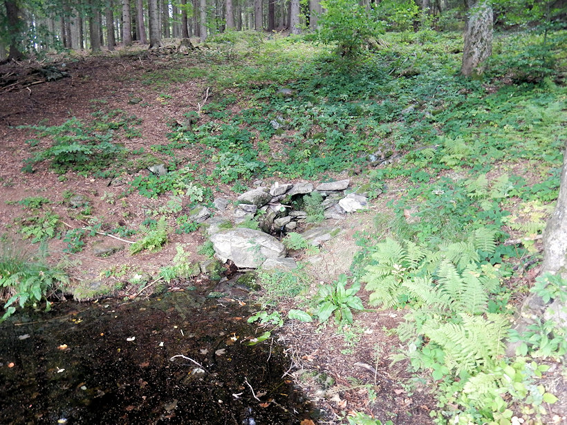 studánka U rybníčka (12971) - září 2019