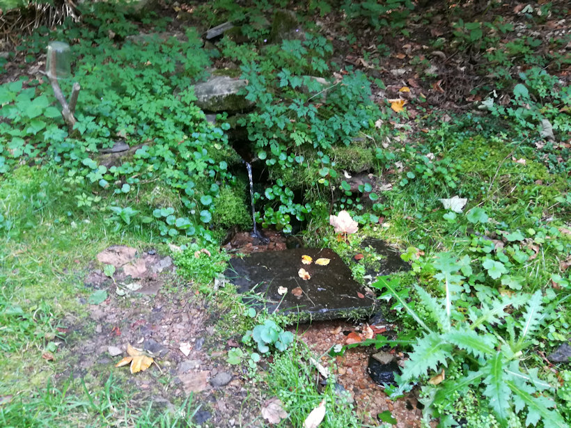 studánka Vlčí důl (12974) - září 2019