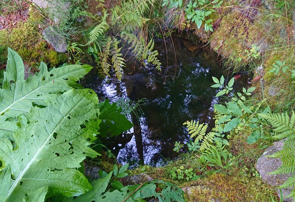 studánka U nory (13015) - srpen 2024