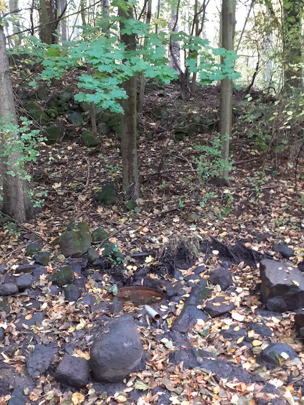 Doubská studánka (13028) - říjen 2019