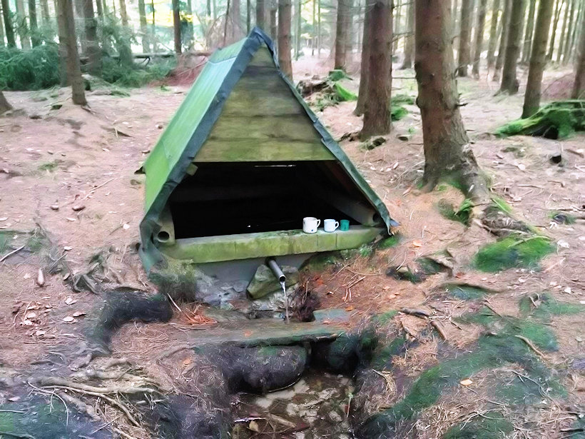 Lesní studánka (13042) - říjen 2019