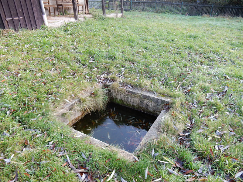 studánka U čísla 220 (13060) - listopad 2019