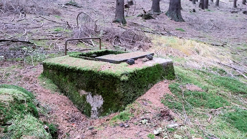 prameniště Pod Valchovem (13068) - listopad 2019