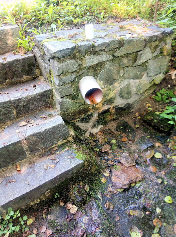 Tomlejnova studánka (13069) - srpen 2019