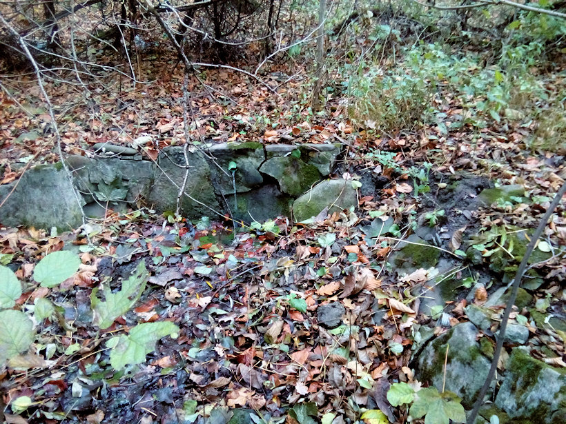 studánka U Lištnice (13070) - listopad 2019