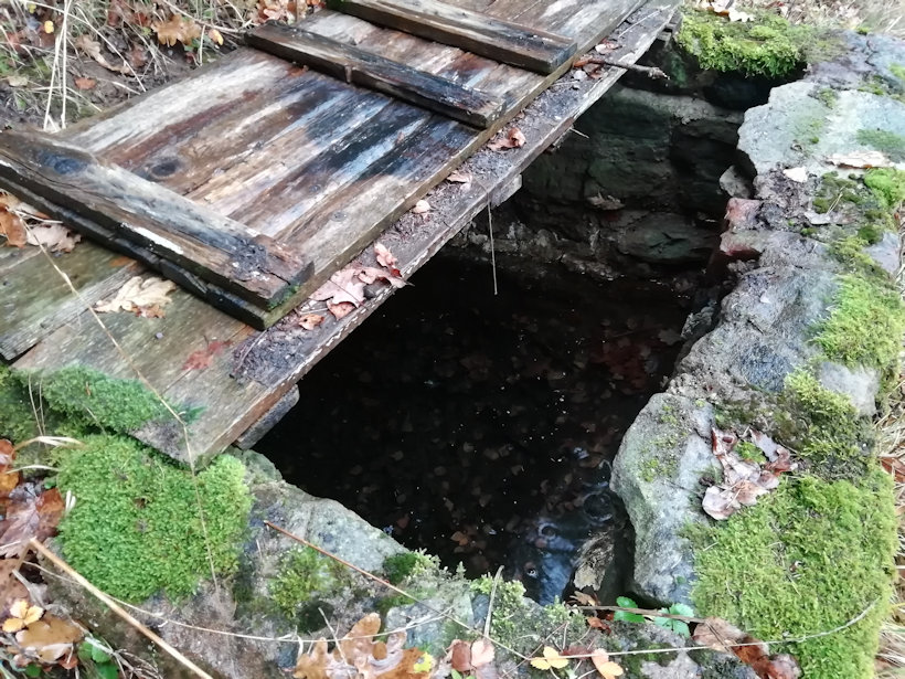 Špinlerova studánka (13083) - listopad 2019