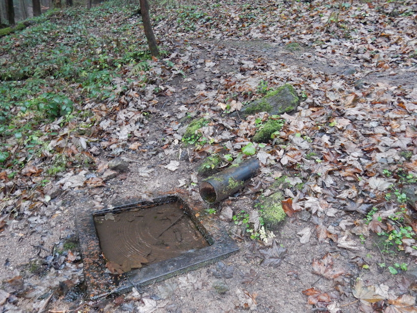 studánka Mariánský pramen 2 (13088) - listopad 2019