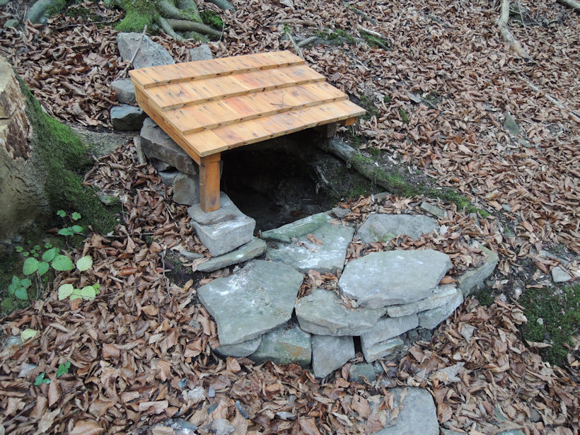 studánka Pod Kaluží (13094) - listopad 2019