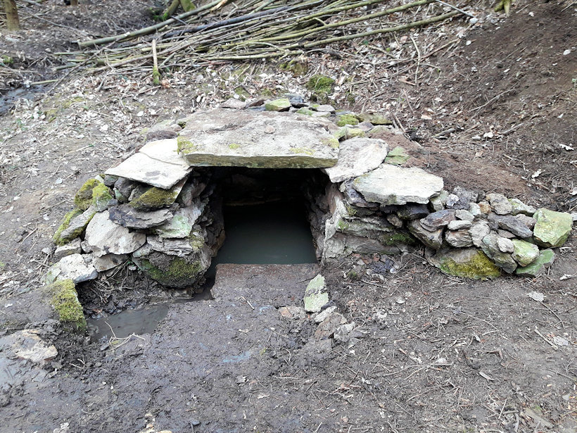 Pantátova studánka (13098) - březen 2019