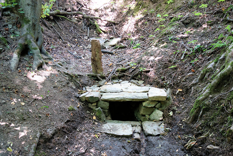 Javorová studánka (13100) - červenec 2019