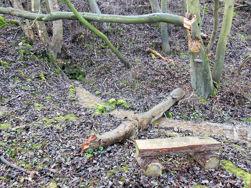 studánka V Bažantnici (13101) - prosinec 2019